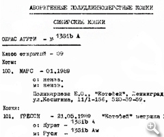 Выставка «Котофея» 5-6 января 1991 г. В каталоге всего 342 животных. 119 сибирских кошек, из них 29 колорпойнтовых окрасов; в классе новичков 50 животных, из них 13 колорпойнтов.