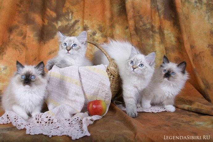 10_