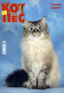 Кот и Пес